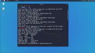 Основы работы с сетевым сканером Nmap в Kali Linux