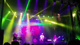 Badfish 20th Anniversary Tour - Crazy Fools/Caress Me Down; feat Dale (Dale and the ZDubs)