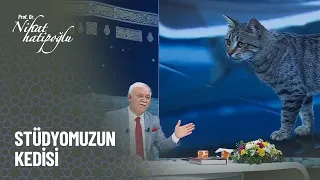 Stüdyomuzun kedisi İnci - Nihat Hatipoğlu Kur'an ve Sünnet 303. Bölüm