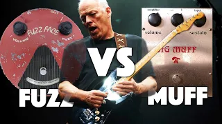 Fuzz vs Big Muff | David Gilmour Tones