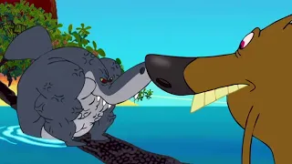 Zig und Sharko | 💪 Super Sharko 💪 | Volledige aflevering in HD