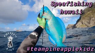 SPEARFISHING HAWAII 2020 !! Uhu Catch and Cook | K Bay