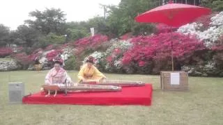 Koto (Japanese harp) performance at a hotel of Hakone