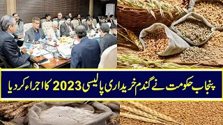 Punjab Govt Announced Wheat Procurement Policy 2023 | #punjabgovernment #wheat #policy #nawaiwaqt