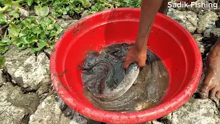 Unique Fishing Catching 2021. In Dry Season Catching Catfish From Underground Secret Hole.