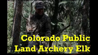 Bugling Like Crazy - Colorado Public Land Archery Elk Hunt 2021