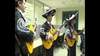 Мексиканская Серенада:Mariachi Mexico Serenada 8926-924-94-72