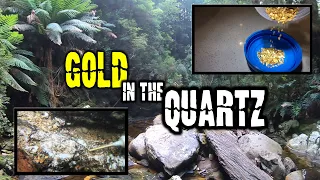 I found GOLD hiding in Quartz veins of the river, Could this be the GOLDS origin??