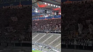 EINTRACHT FRANKFURT FANS vor dem Spiel gegen LEVSKI SOFIA! 31.08.23