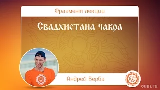 Свадхистана чакра. Андрей Верба