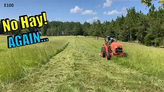 Mowing Large Acreage With 5' Brush Hog and Compact Tractor