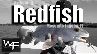 W4F - Fly Fishing Redfish - Mosquito Lagoon, Florida