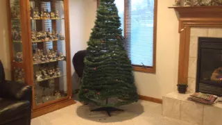 Fastest Christmas Tree Set-Up