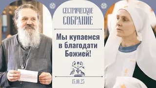 Чего вам еще не хватает? Сестрическое собрание с отцом Андреем Лемешонком