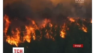 На півдні Франції вирують потужні лісові пожежі, є постраждалі