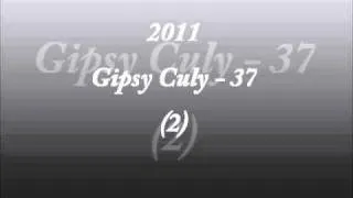 2011 Gipsy Culy - 37