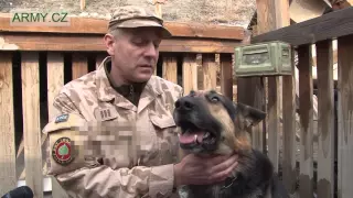 Psí život v Afghánistánu - psí hrdina AČR (dog hero - MWD K9 - in ISAF Afghanistan)