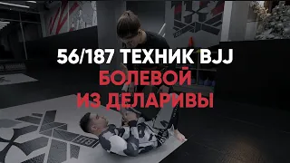 Болевой из деларивы / NO GI / BJJ