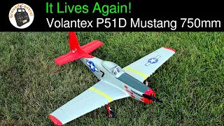 It Lives Again! Test Flights! - Volantex 768-1 P51D Mustang Red Tail 750mm Wingspan Warbird PNF