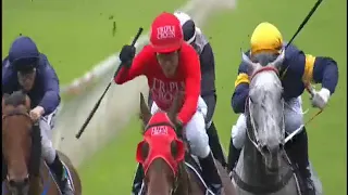 Redzel Wins the 2017 Everest Stakes