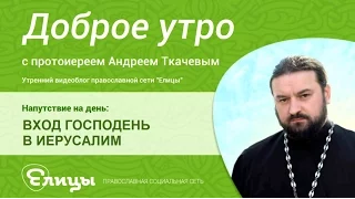 ВХОД ГОСПОДЕНЬ В ИЕРУСАЛИМ, верба или пальма, почему Христос выбрал осла? о.Андрей Ткачев