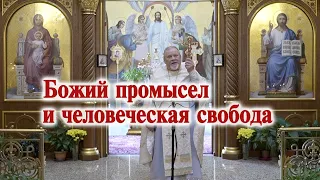 Божий промысел и человеческая свобода. Проповедь свящ. Георгия Полякова в 20 неделю по Пятидесятнице