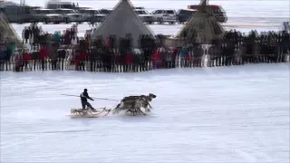 День оленевода в Салехарде. 28.03.2015.