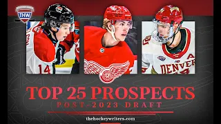 Devin's Top-25 Red Wings Prospects, Matching Up Against the Lightning & More - THW Grind Line