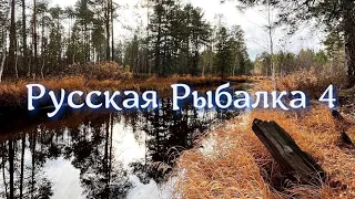 Рыба - пиявка! Река Северский Донец. Русская Рыбалка 4. Russian Fishing 4. РР4. РР 4. ВПК. RF4. RF 4