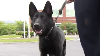 Roanoke County police dog helps find missing child with autism