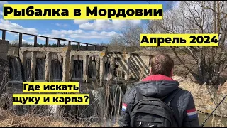 Весенняя Рыбалка в Мордовии: В поисках ЩУКИ и КАРПА в Апреле