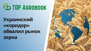 Украинский «коридор» обвалил рынок зерна. TOP Agrobook: обзор аграрных новостей