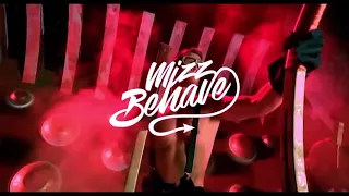 Mizz Behave - Oops I Did It Again (Stylez Pony Hard-kickz)