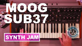 Moog SUB 37 - Synth Jam - Friday Fun