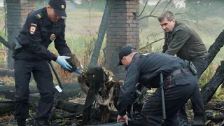 ЖУТКАЯ НАХОДКА ПОТРЯСЛА ГОРОД! ЗАХОРОНЕНИЕ НЕСКОЛЬКИХ ЖЕНСКИХ ТЕЛ С ПЕСКОМ ВО РТУ! Танцы на песке