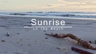 Relaxing beach sunrise at Hilton Head Island, SC | Natural waves sounds