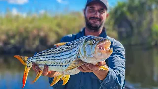 Tiger Fishing the Okavango Delta! TIGER BRAAI!!!