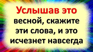 Услышав это весной, скажите эти слова, и это исчезнет навсегда. Народные приметы на март