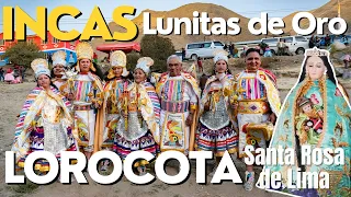 INCAS Lunitas de Oro | Lorocota | 🇧🇴 | Banda Raymis Gallardos