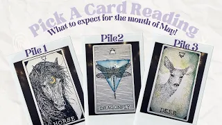 🩷🌷What to Expect in the Month of May🌷🩷 Detailed Pick a Card Tarot Reading ✨