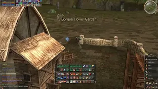 L2Tox.com Giran Siege hunting hero dagger :)