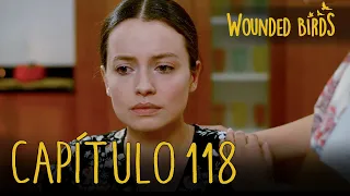 Wounded Birds (Yaralı Kuşlar) | Capítulo 118 en Español