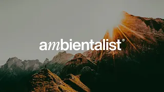 The Ambientalist - In A Better World