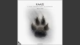 Wolves (Extended Mix)