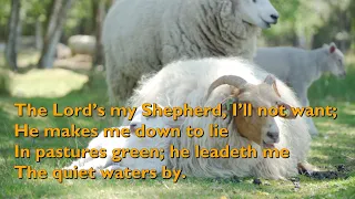 The Lord's My Shepherd (Tune: Crimond - 5vv) [with lyrics for congregations]