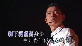 Andy lau - Days we spent together