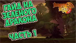 New Dragon Nest • Гайд на Зеленого Дракона • ЧАСТЬ 1