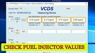 How to check fuel injector values with VCDS (VAG-COM) for VW, Audi, Seat, Skoda