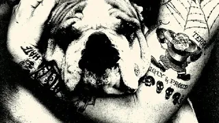 Sheer Terror - Hasslich und Stolz [vinyl rip - full album]