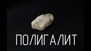 Полигалит